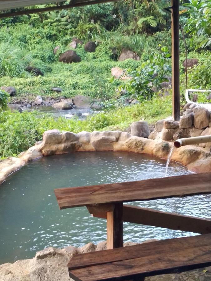 Natty Tropical Valley Roseau Dış mekan fotoğraf