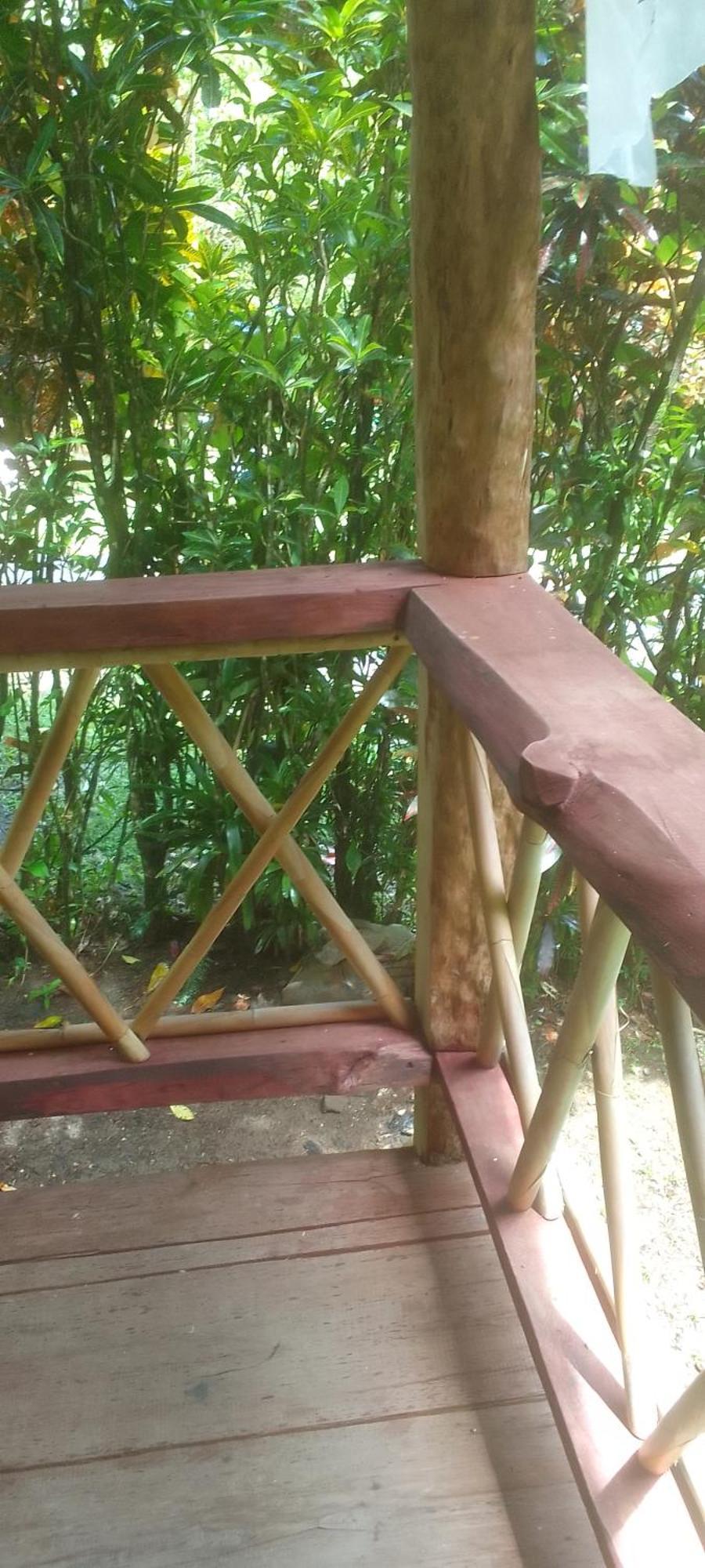 Natty Tropical Valley Roseau Dış mekan fotoğraf