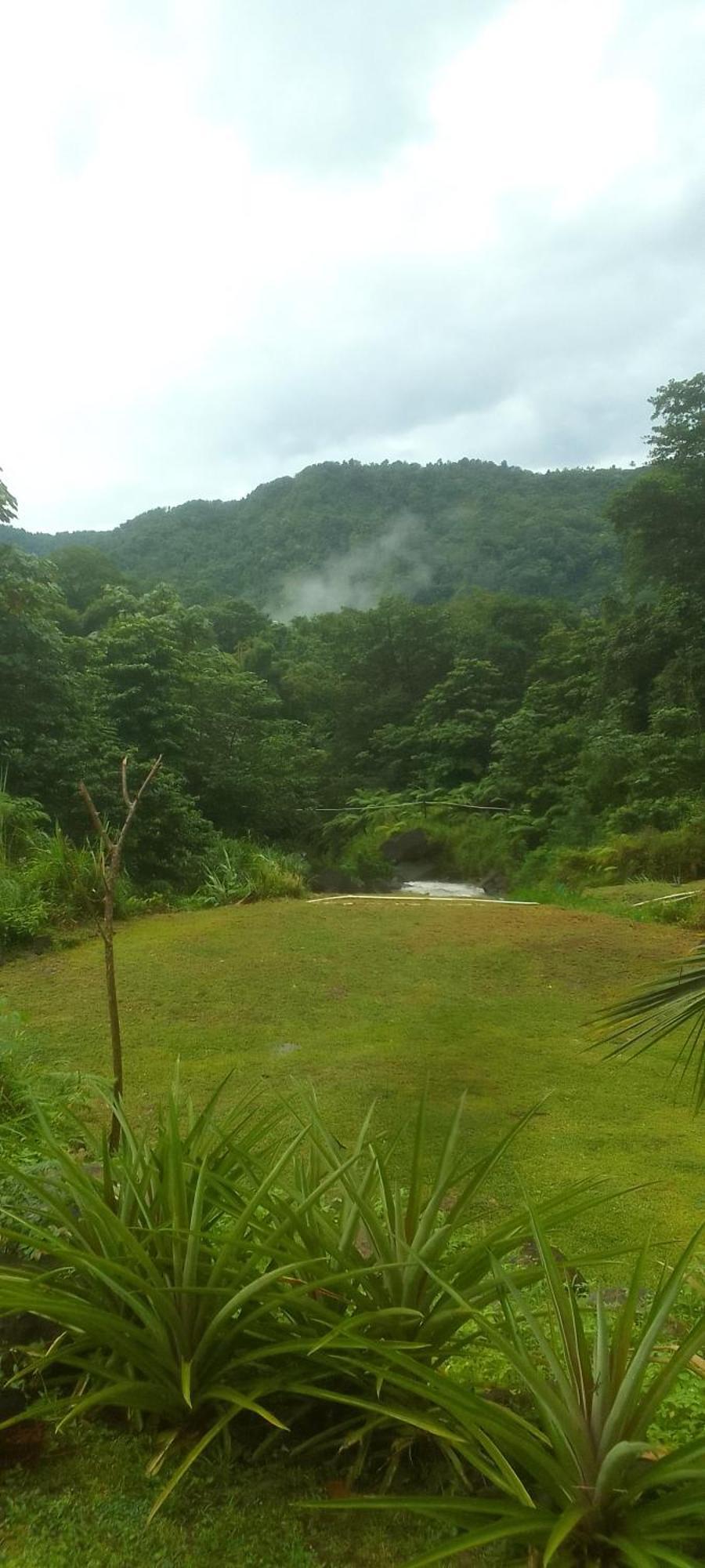 Natty Tropical Valley Roseau Dış mekan fotoğraf