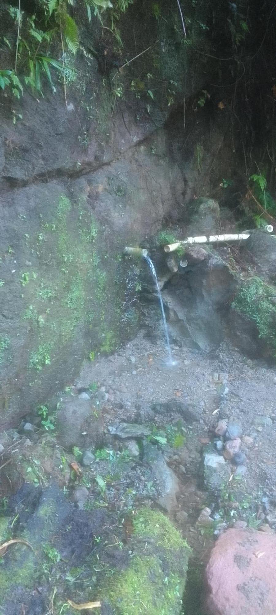 Natty Tropical Valley Roseau Dış mekan fotoğraf