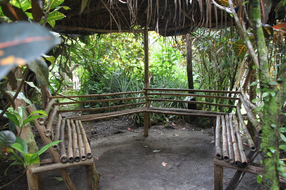 Natty Tropical Valley Roseau Dış mekan fotoğraf