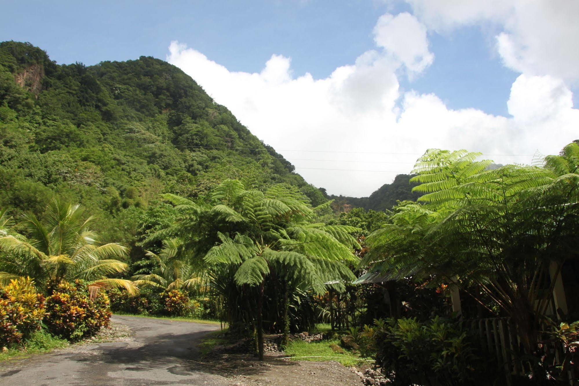 Natty Tropical Valley Roseau Dış mekan fotoğraf